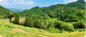 山間・里山物件