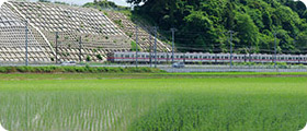田園地帯の物件