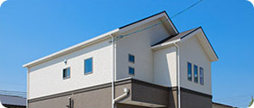 建物面積50坪以上